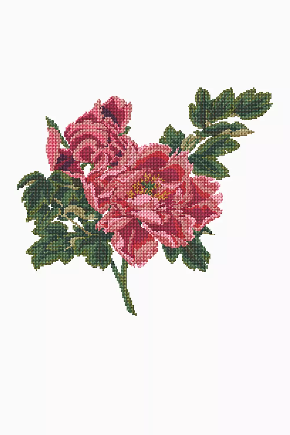 The Ornamental Rose Cross Stitch Pattern - DMC