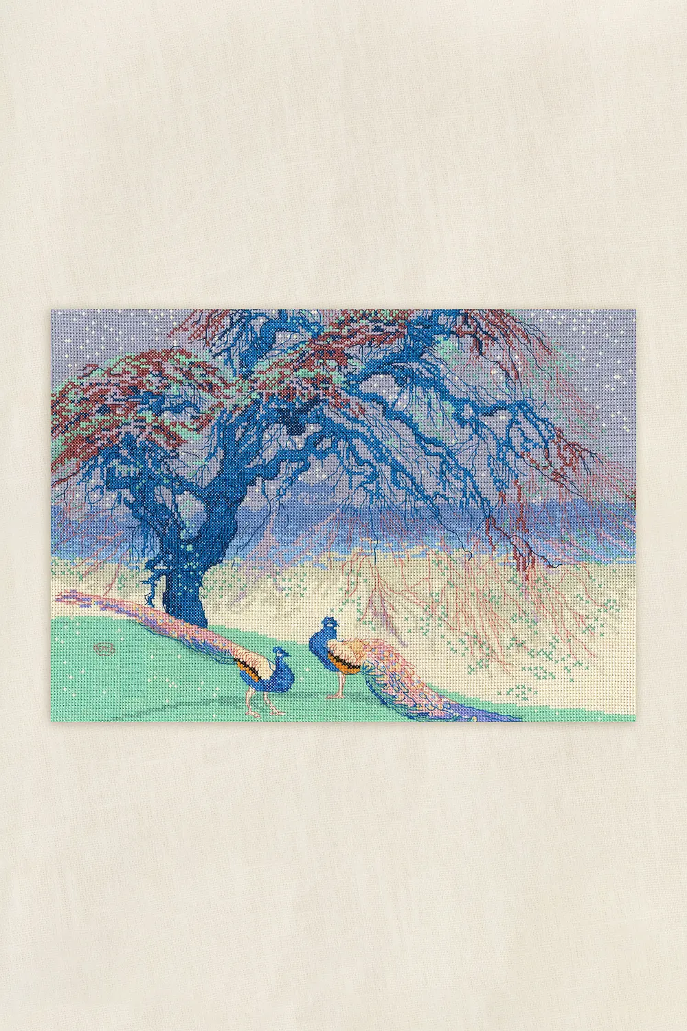 When winter fades DMC