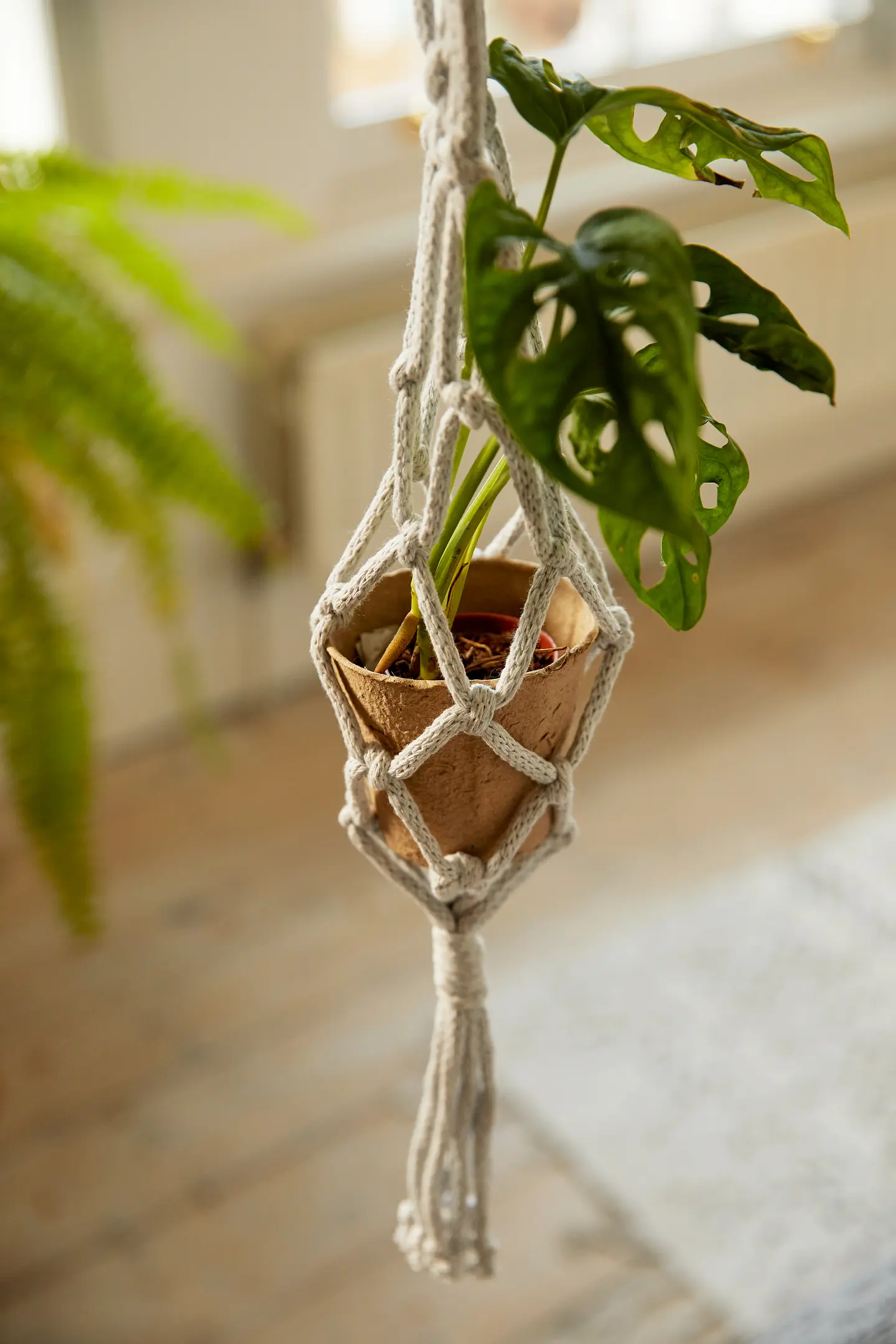 tall wooden plant stand indoor Bamworld 5 Tier Plant Stand Indoor,Wooden Tall Plant Stands for Multip main image 0