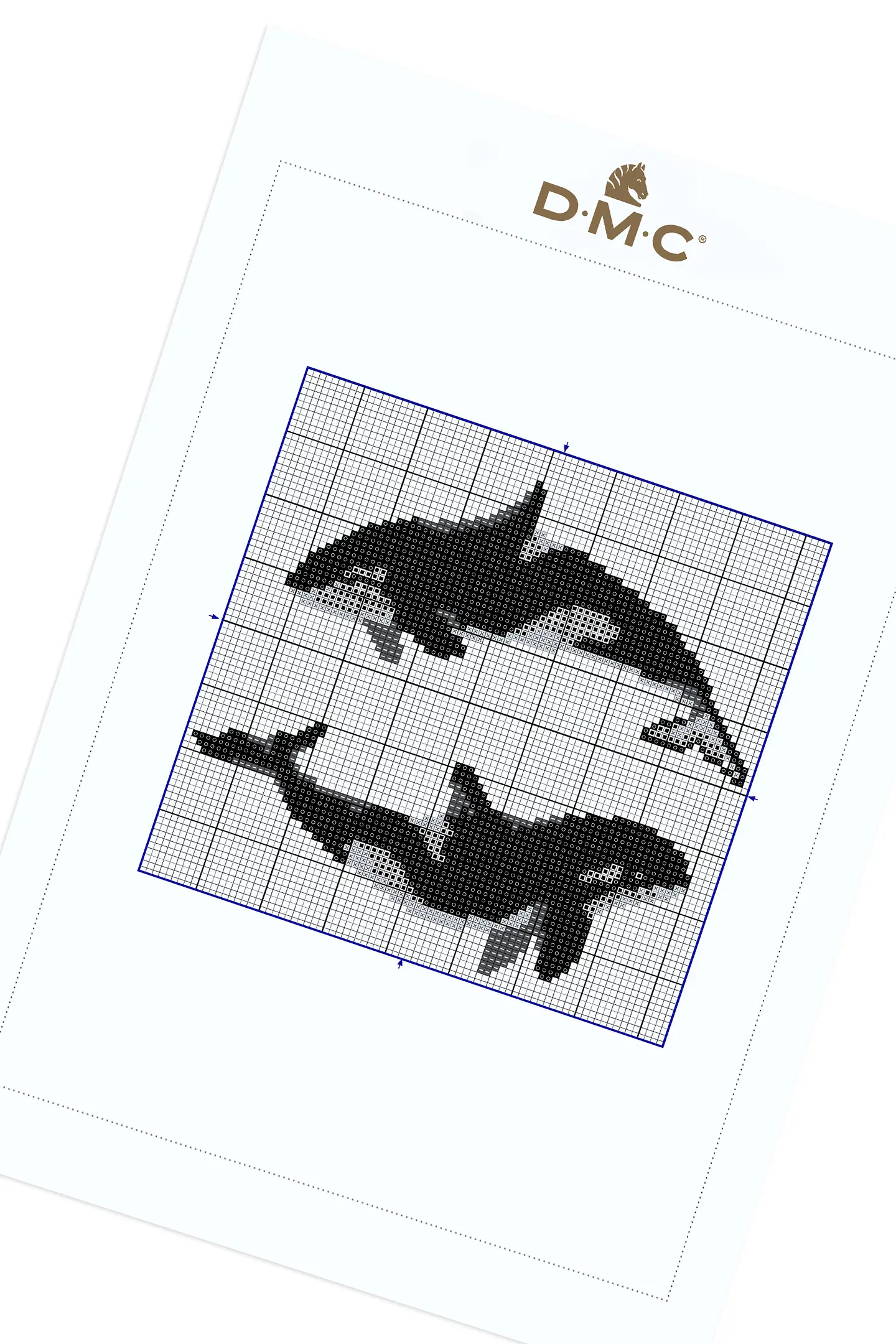 Orca Killer Whale