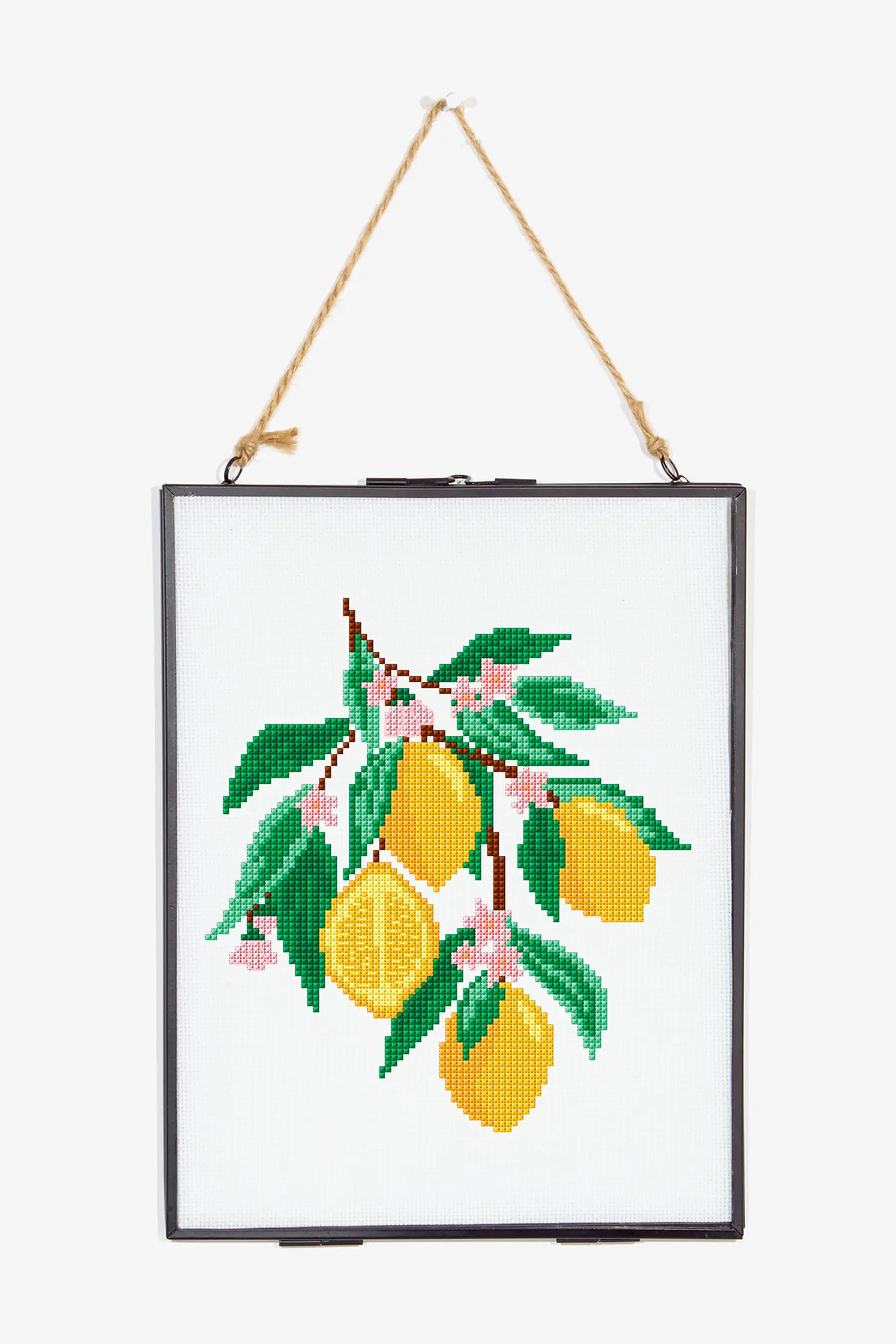 トールペイント作品夏のレモンです レモン