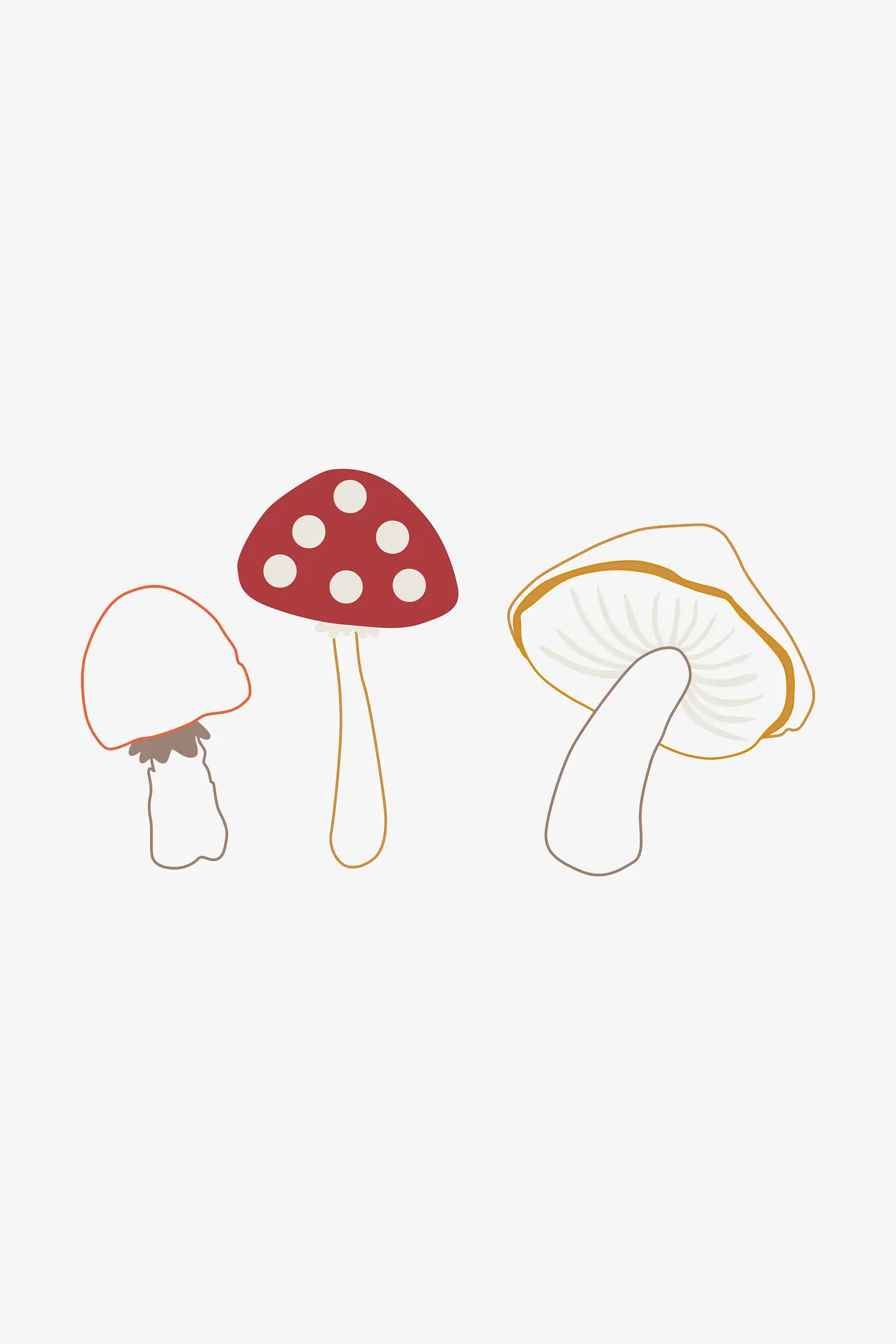 きのこ類
