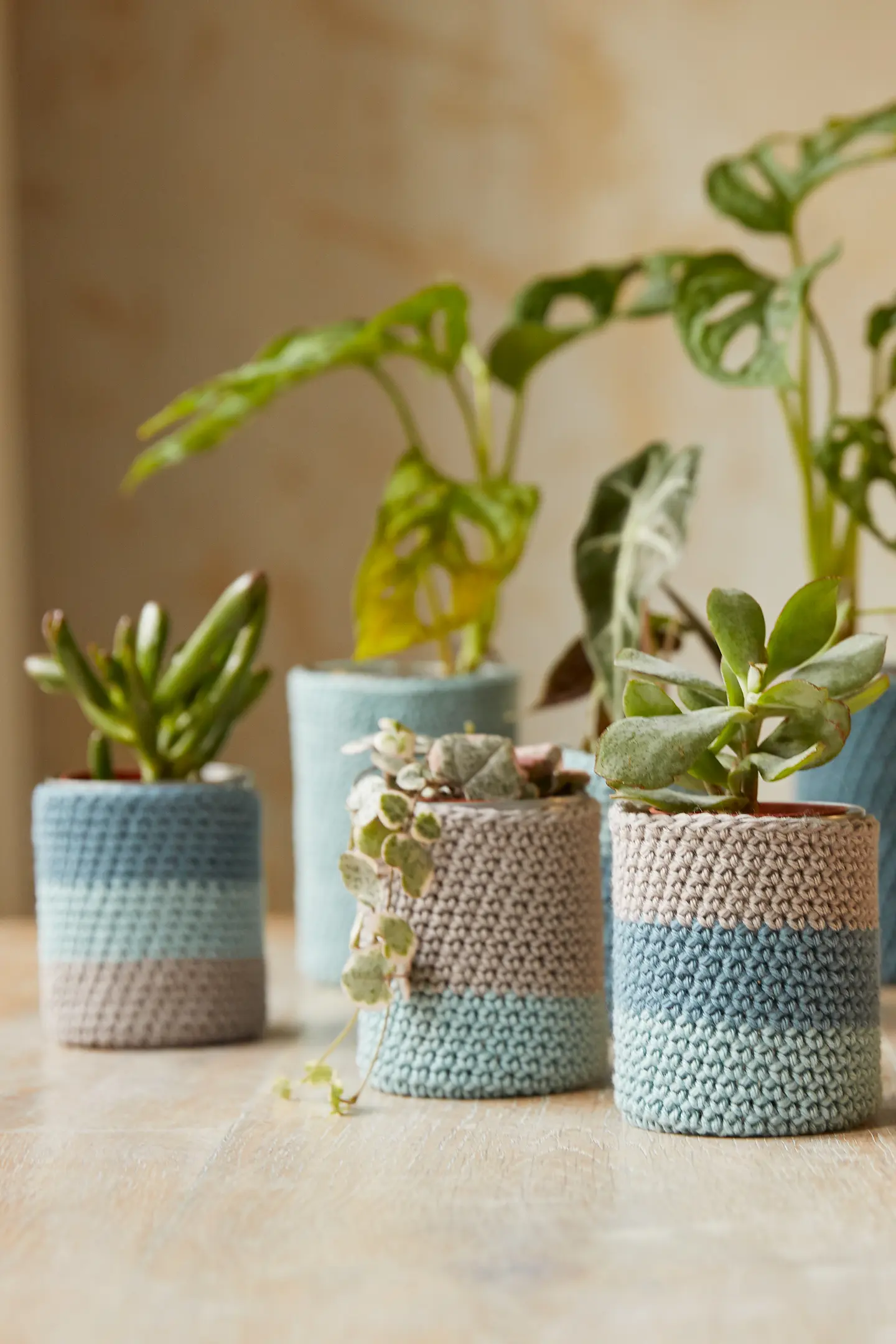 house plant self watering systems Oasis Self-Watering Planter – Lasts Up to a Month main image 0