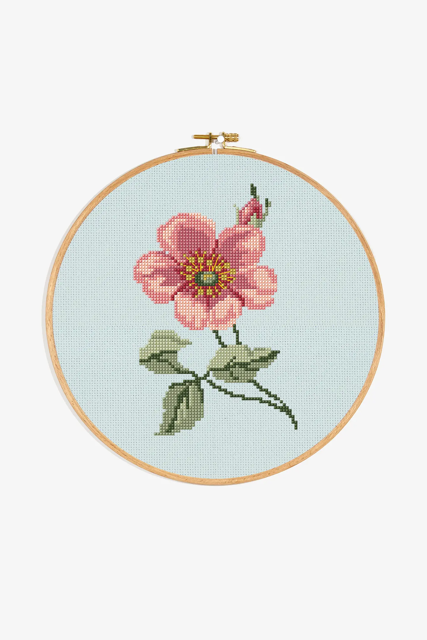 Anemone