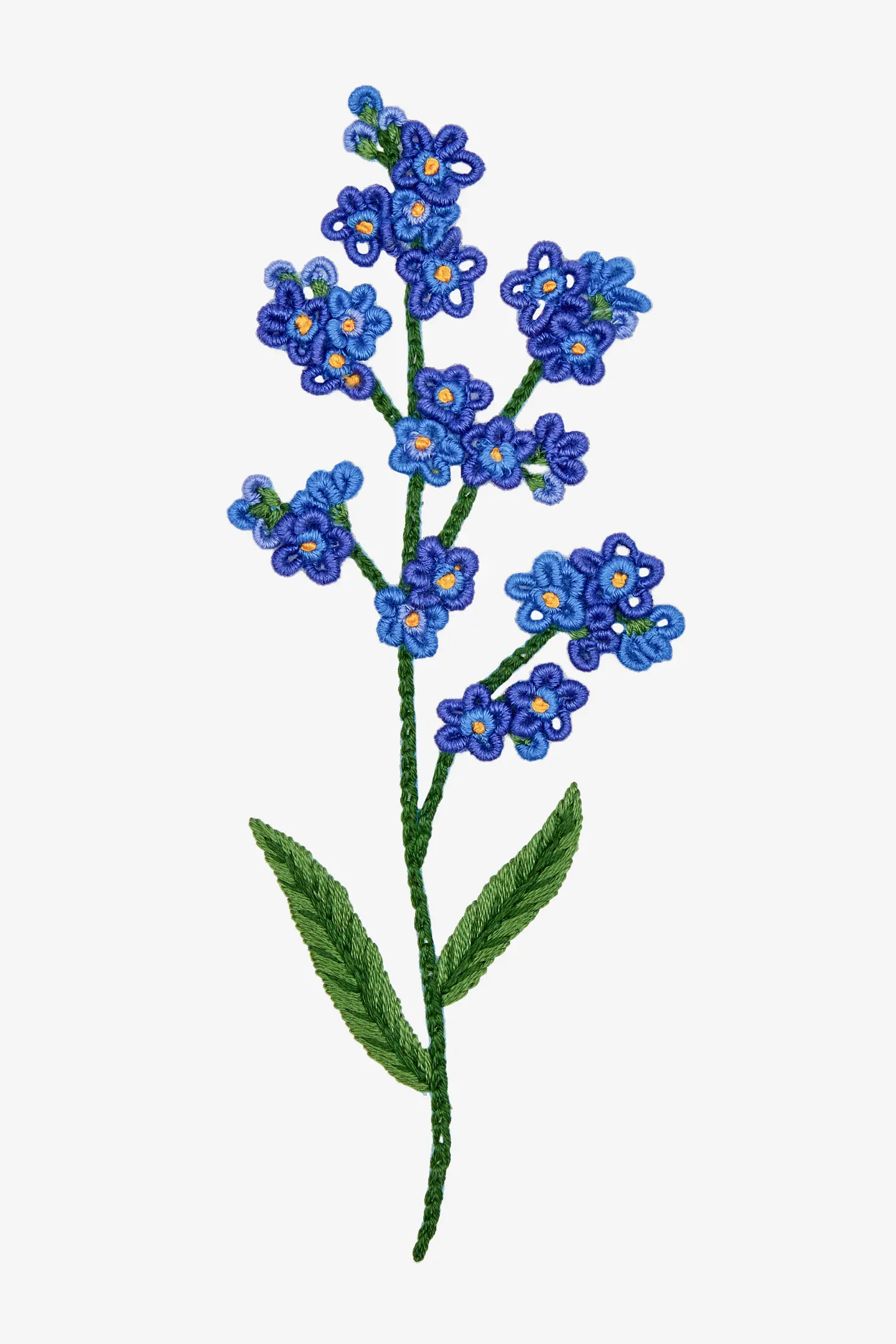 勿忘草