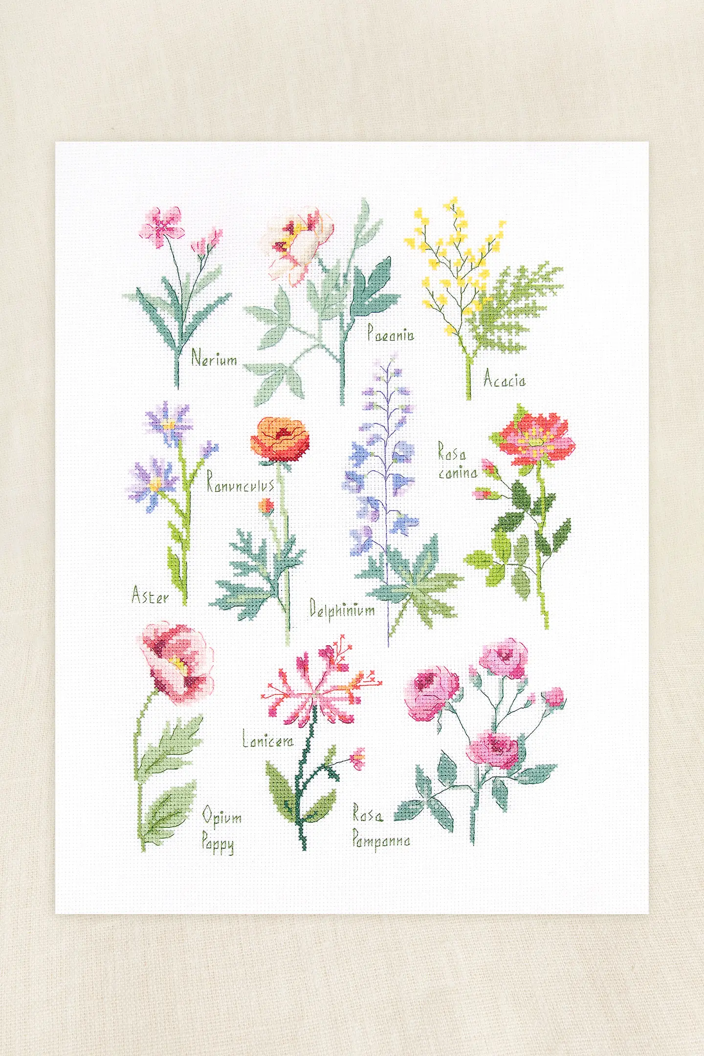 Botanical Sampler by Nathalie Weinzaepflen Intermediate Cross