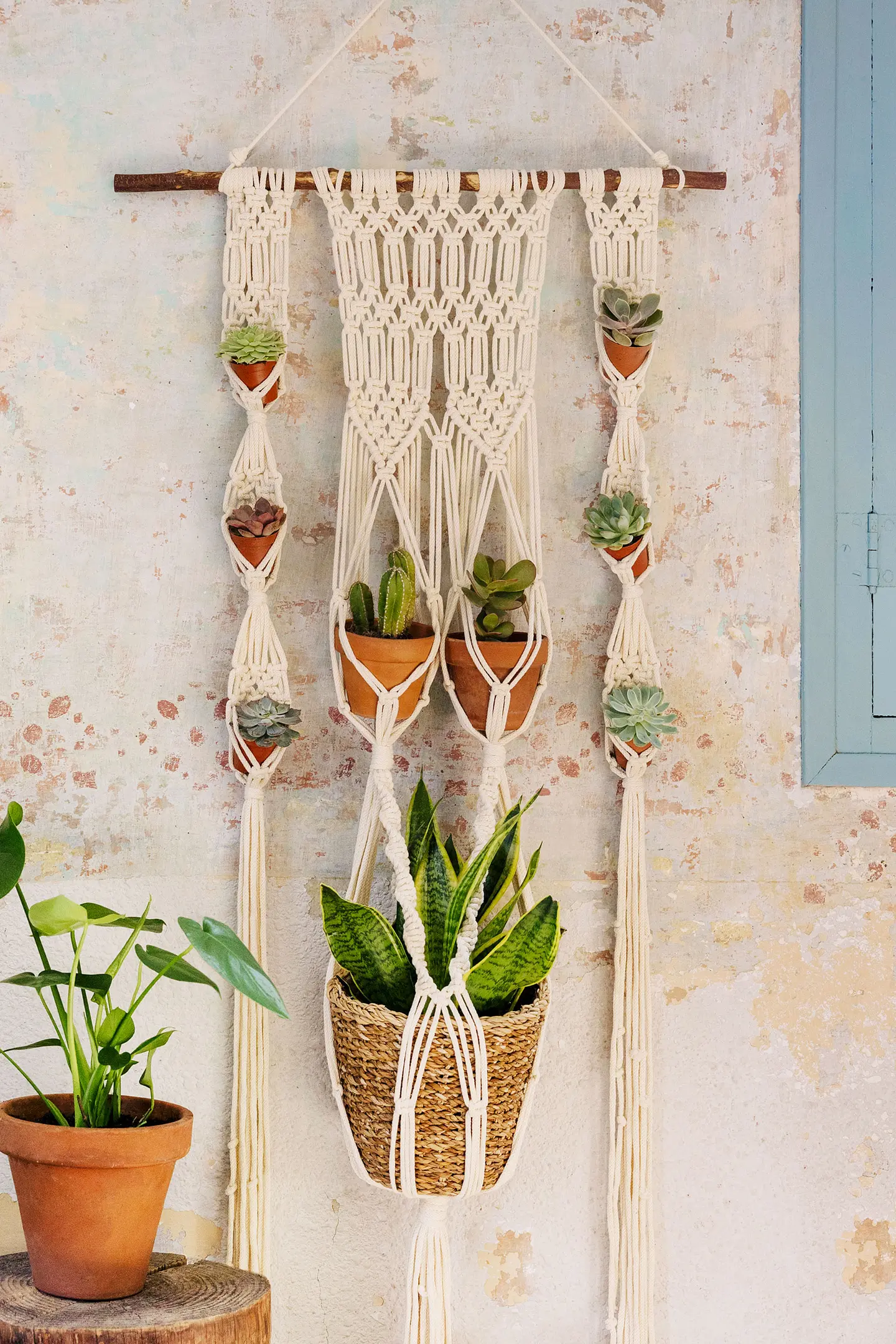 Blumenampel Makrameeanleitung Niveau mittel mit Eco Vita 12
