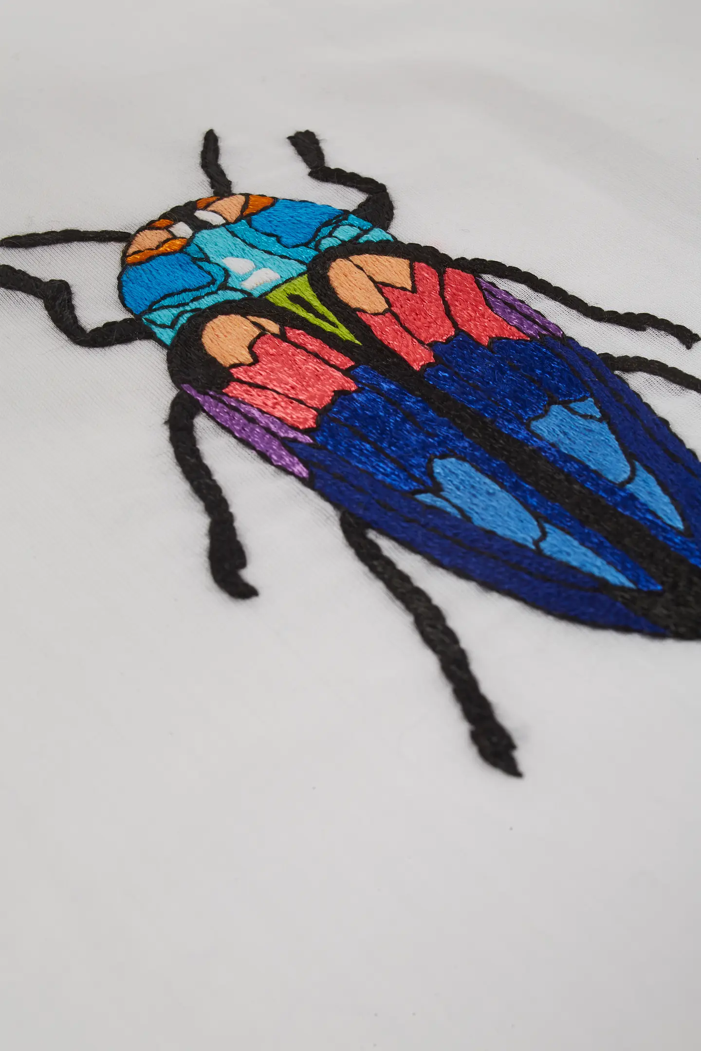 Tricoloured Jewel Beetle