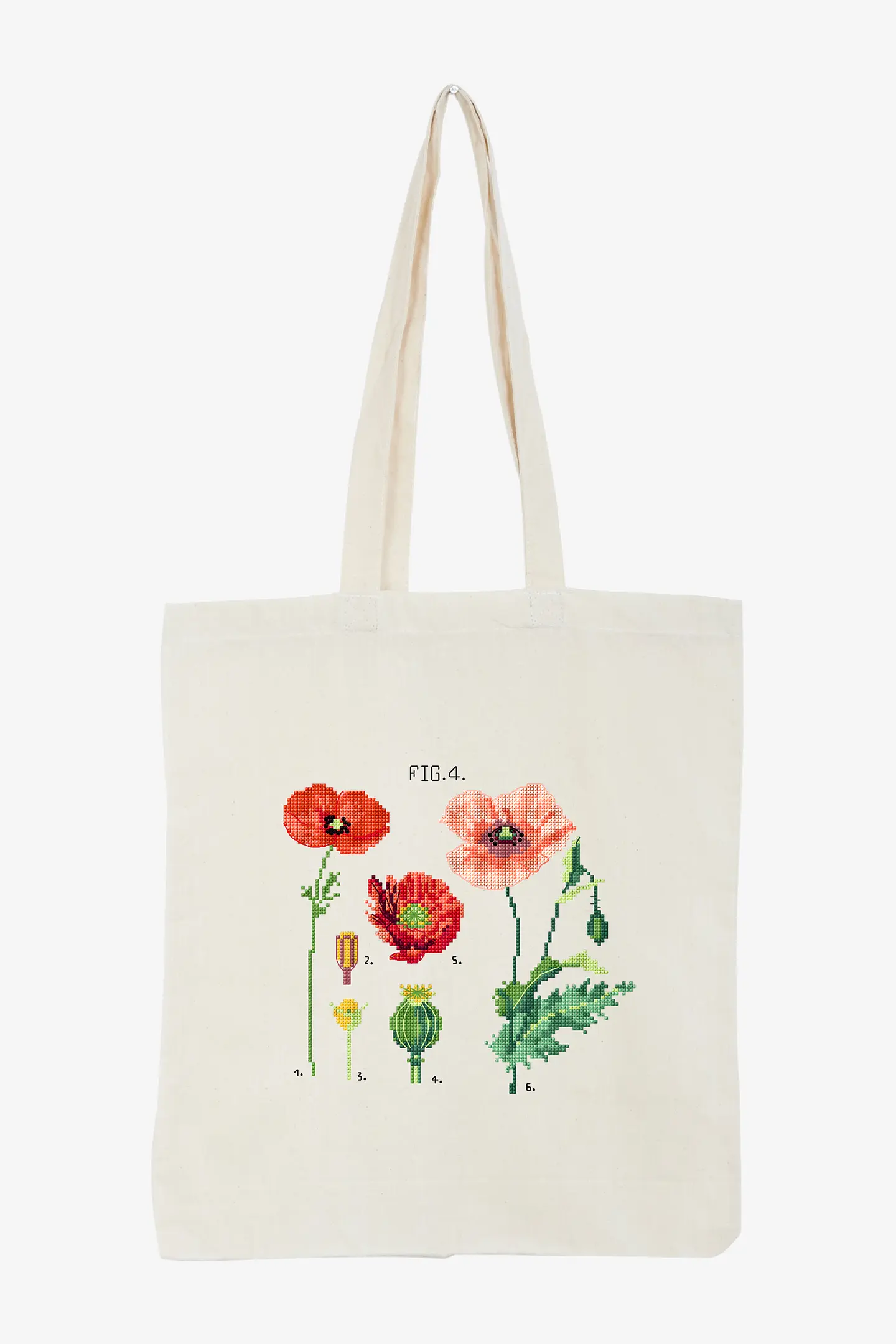 Botanical Poppies