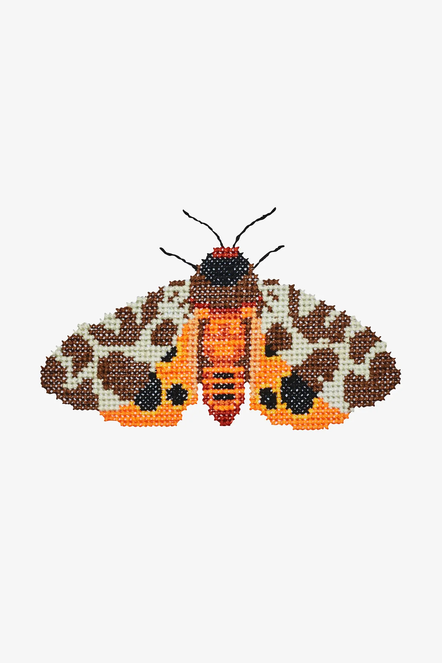 〜蛾/moth〜☆送料込み☆ Moth cross-stitch Pattern