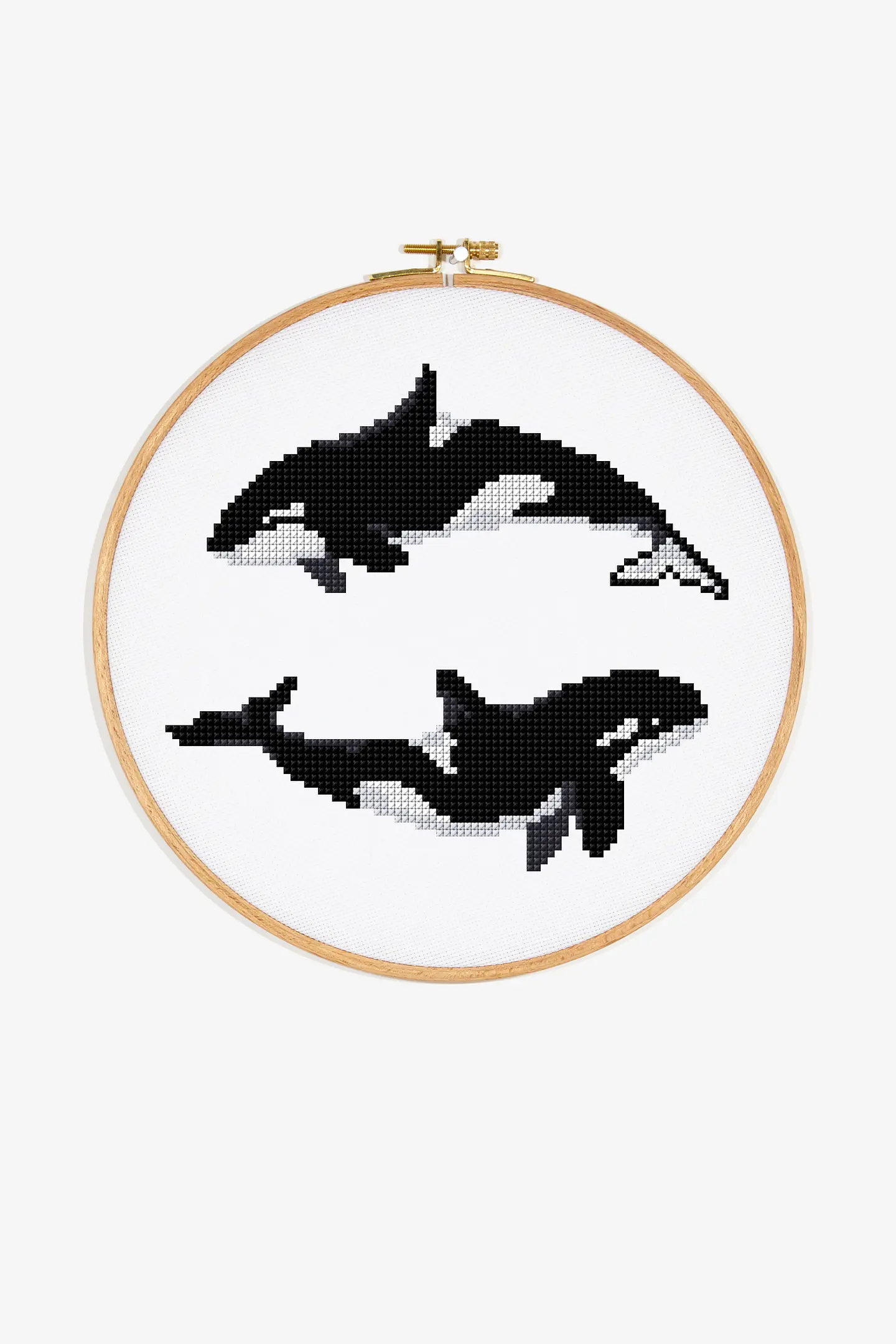 Orca Killer Whale