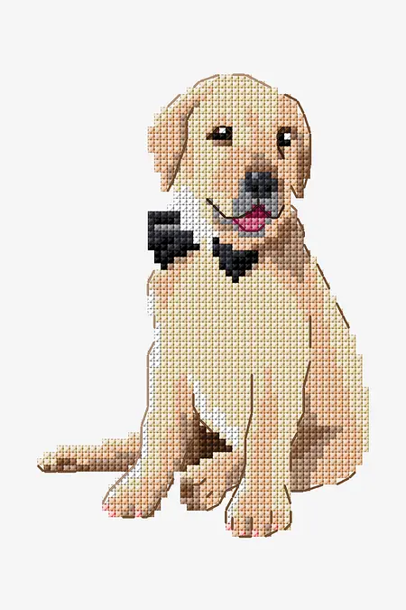 ゴールデンレトリバー My Boys💕💕💕😘😘😘😍😍😍 #ゴールデンレトリバー #犬好き