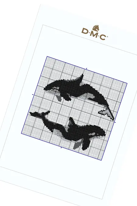 Orca Killer Whale