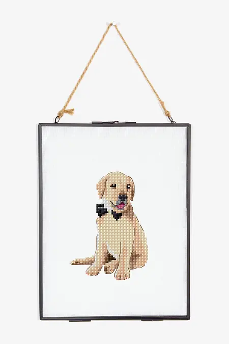 レトリバーページ ゴールデンレトリバー