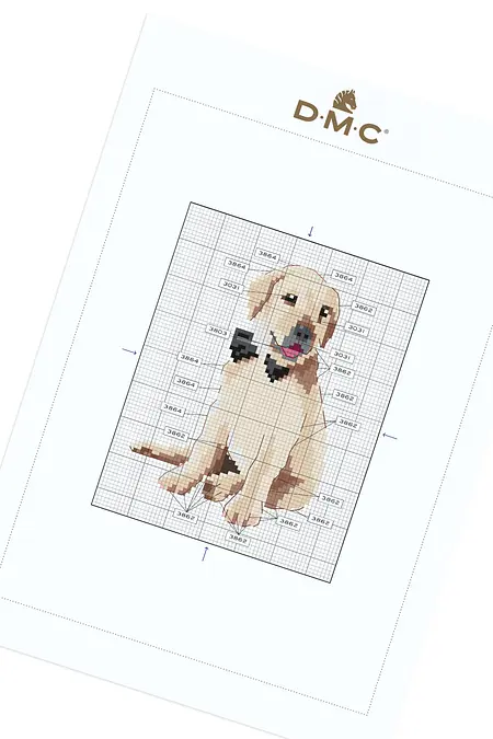 ☆レトリバー様☆ あんステ 8th 6枚 ☆レトリバー様☆ あんステ 8th 6