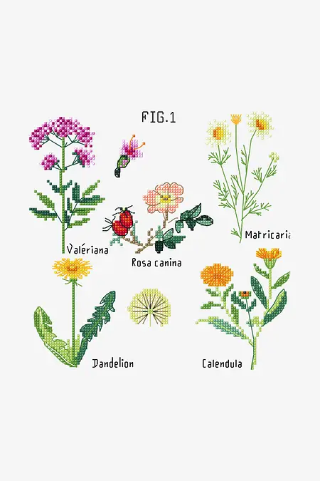 Botanical Medicinal Plants
