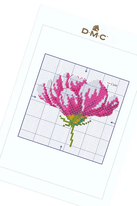 コスモスの花