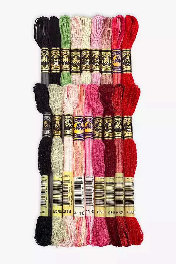 DMC Embroidery Floss, Anniversary Collection Pack. 36 Colors Cotton  Embroidery Thread Bundle with Hand Embroidery Needle Size 18. Premium Cross  Stitch
